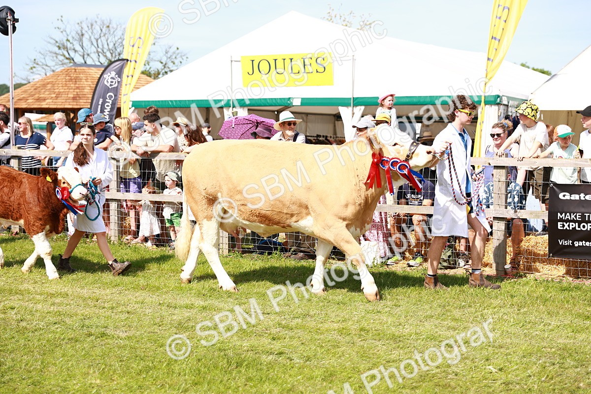 SBM_08354 - Grand Parade