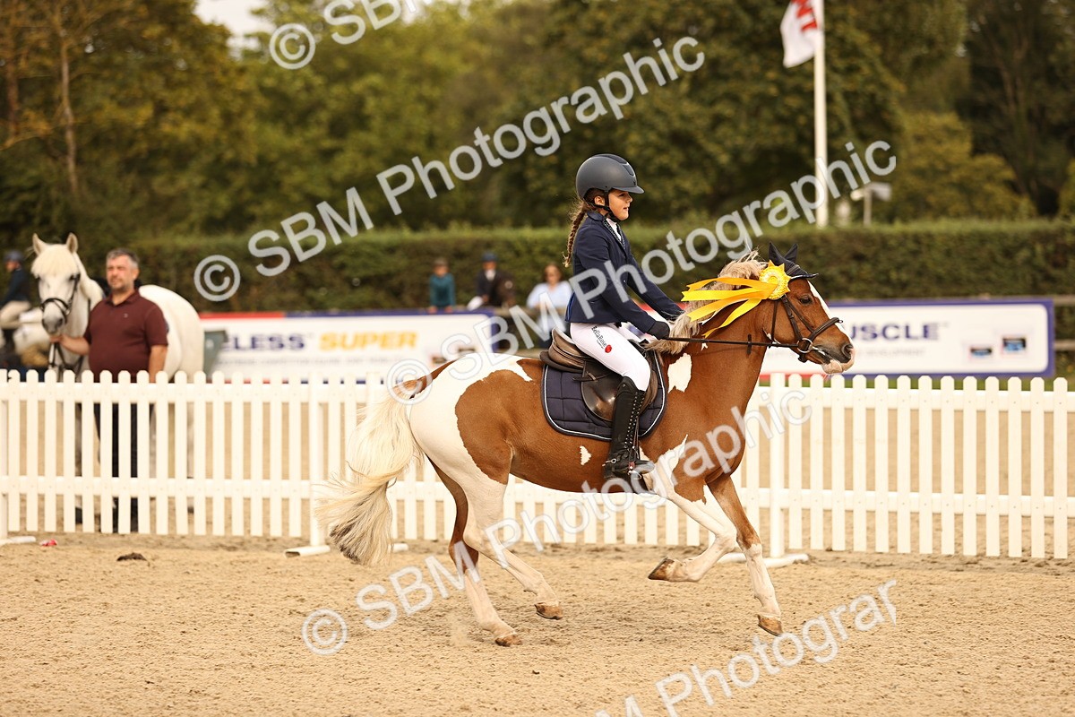 SBM_70876 - J13 - Junior Pony 60cm Championship
