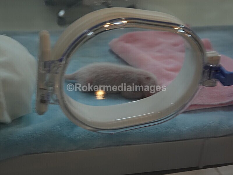 CHINA__0094 - China 2019