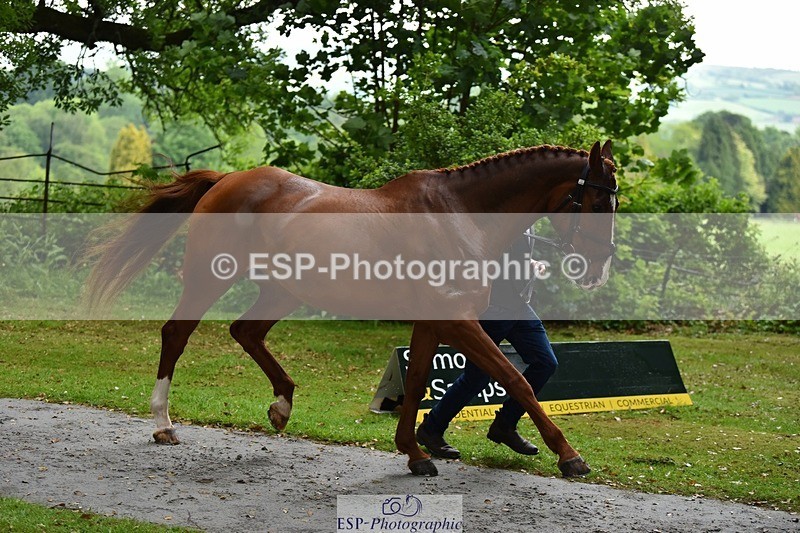 240522-152802-00360 - 357-OUGHTERARD_QUALITY-John_Westmore