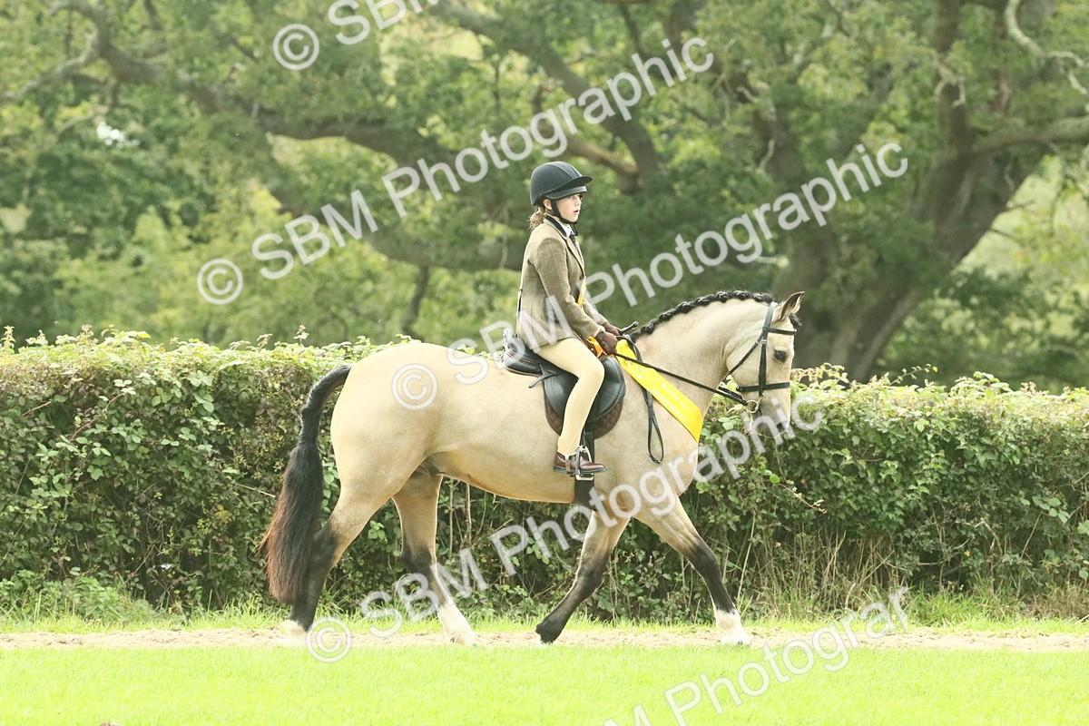 SBM_74970 - Ridden Pony Supreme Championship