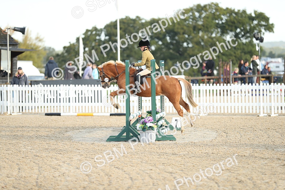 SBM_34140 - J60 Clear Round 50cm