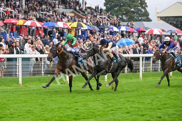 080924-Race 5-Quinault-9321 - Race 5 4.00pm Starman At Tally Ho Stud Garrowby Stakes