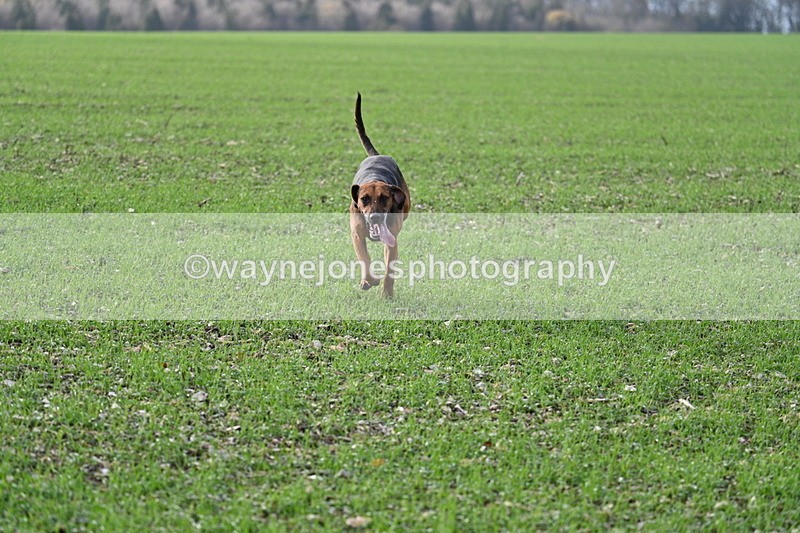 WJ7_3518 - Camera A