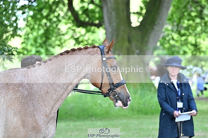 250521A-160905-00942 - C-282-Harry.Meade-NASHVILLE