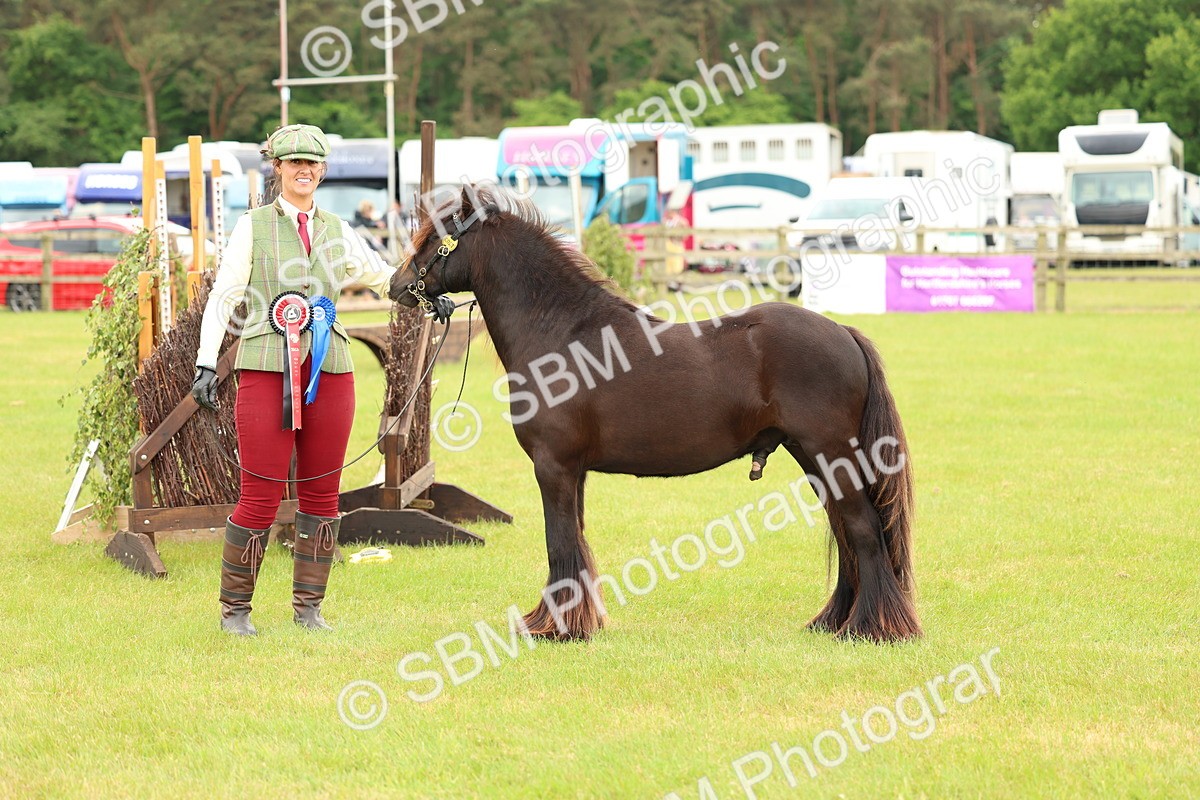 SBM_06356 - Class 39-41 TGCA In Hand and Ridden