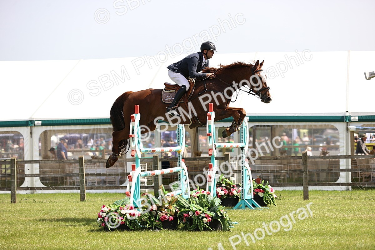 SBM_03300 - Class 201 - British Horse Feedds Speedi Beet HOYS Grade C