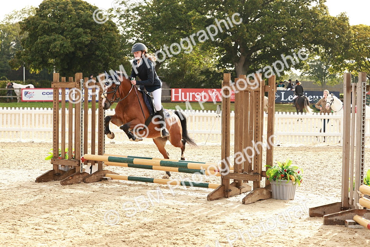SBM_55705 - J11 - Junior Pony 50cm Championship