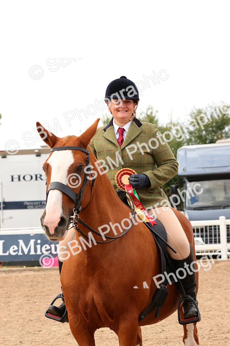 SBM_15600 - Class 214 - Ridden Show Cob