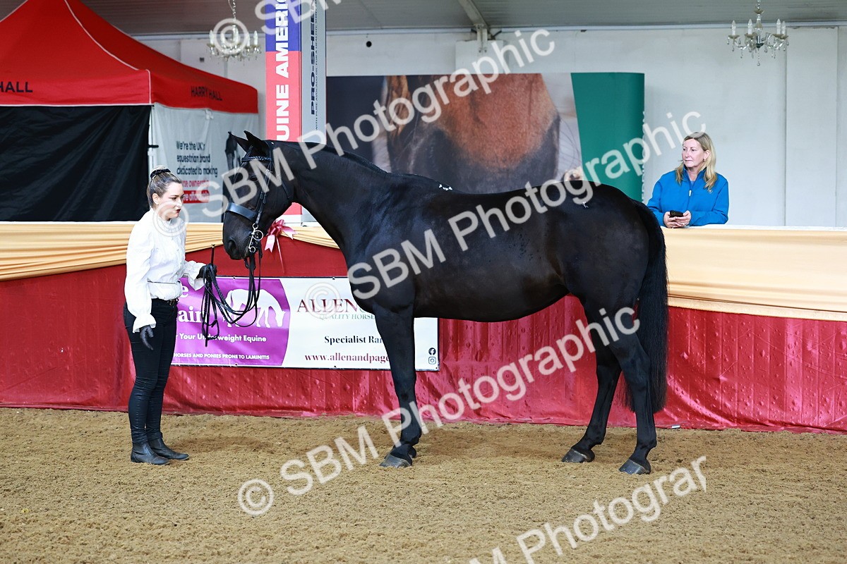 SBM_21683 - Class 901 - Supreme Final - IH  Diamond