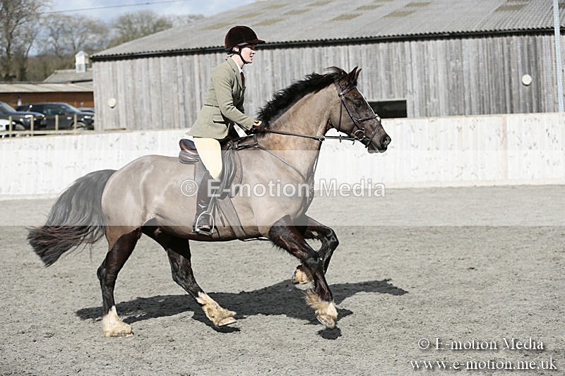 BVRC SJ 170319 358 - Bourne Valley Riding Club Showjumping 17/03/19