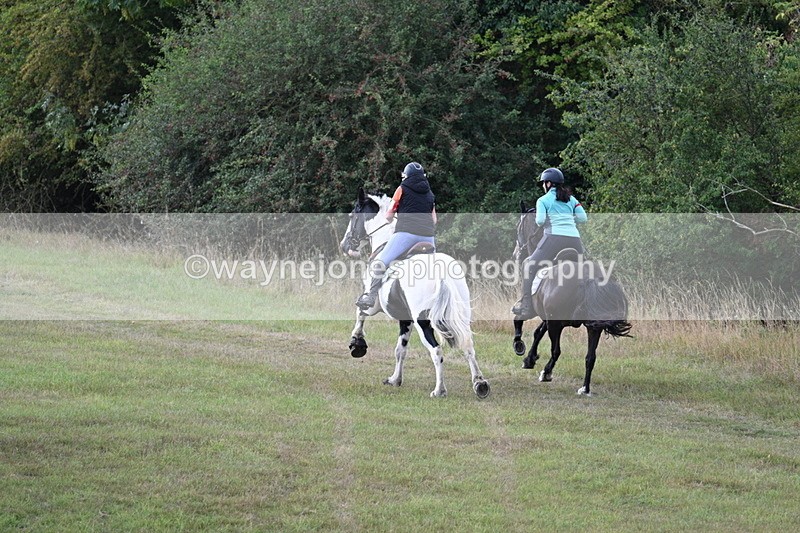 WJ7_5411 - Time 11:22 to 11:41