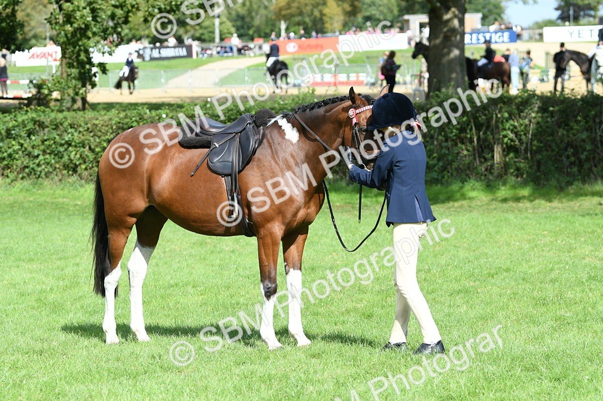 SBM_47151 - S12 - Family Horse & Pony