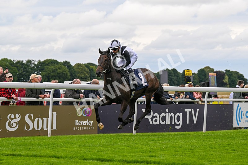 160724-Race 1-Coto De Caza-8242 - Race 1