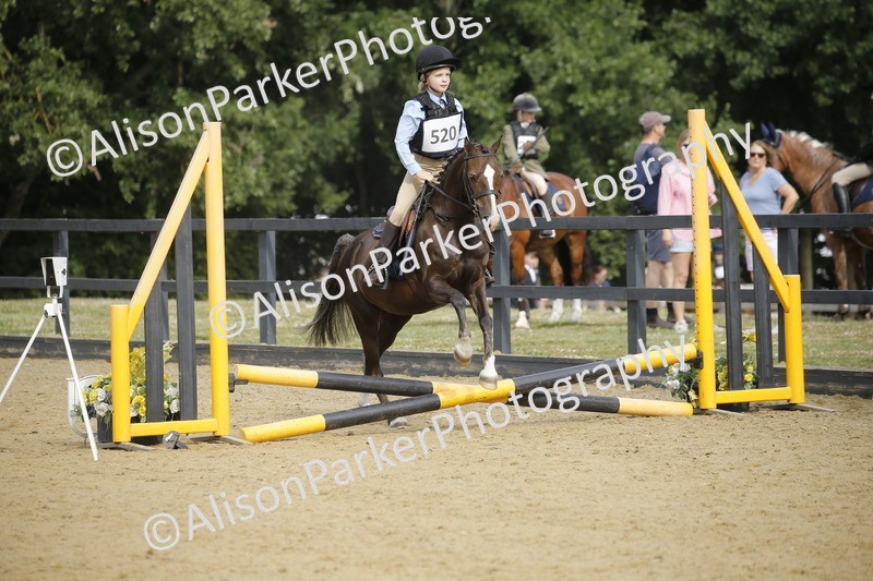 20250622-1411 - 40cm