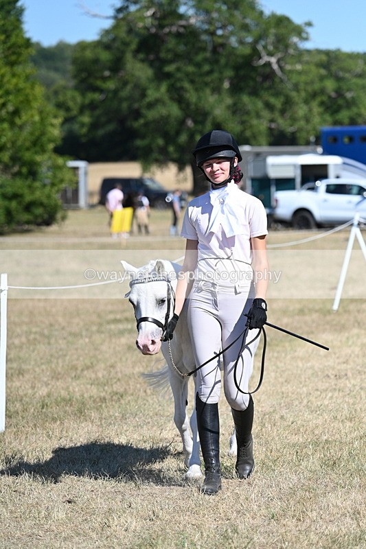 WJ7_1778 - Class 43 Best Six Legs (In hand)