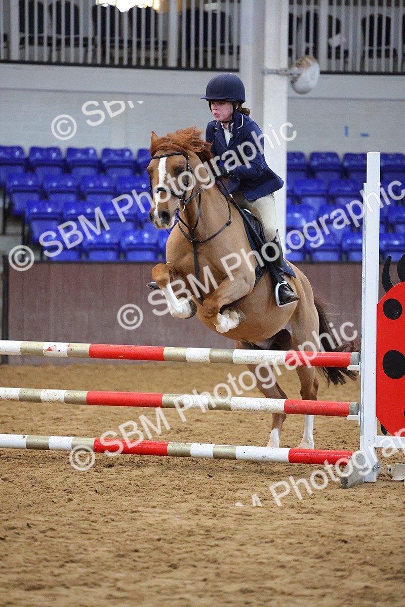 SBM_002035 - Class 5 - Show Jumping 80cm