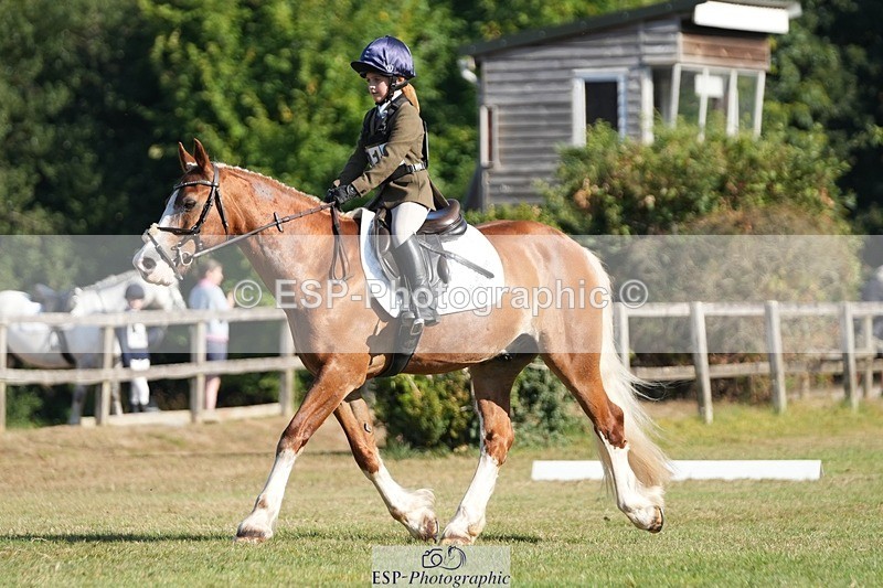 250823A-092443-25666 - Arena A