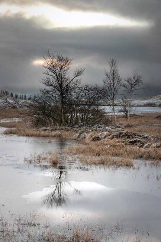  - Distant Hills