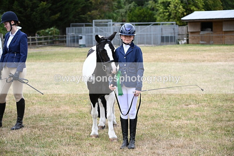 WJ6_4492 - Class 10 Coloured In-hand