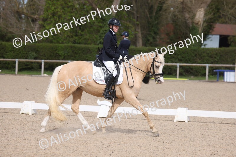 20260405-0213 - Class 3 - Novice 5