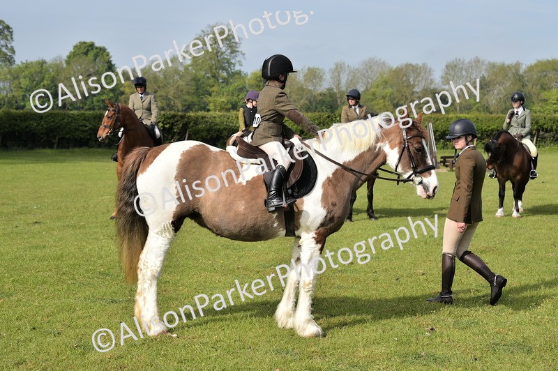 20260426-0894 - Class 18 - Novice Showing