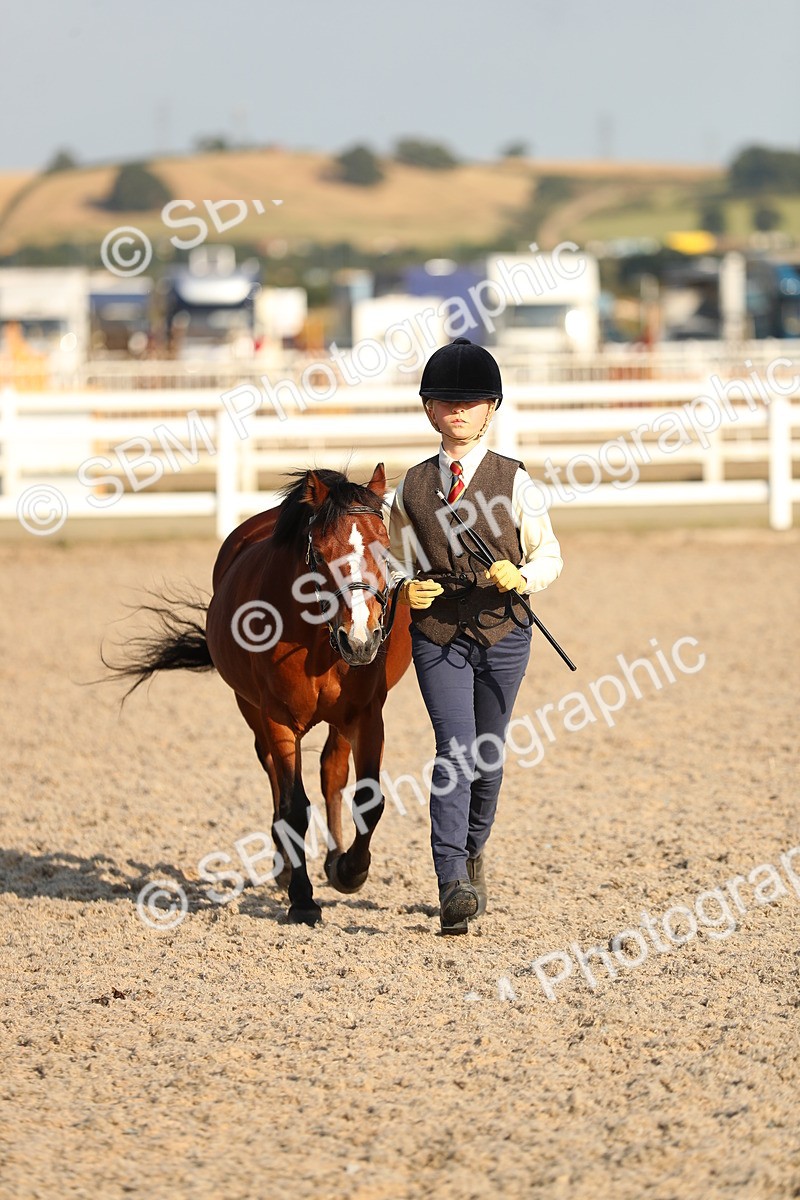 SBM_08991 - Class 29 IH Veteran Pony