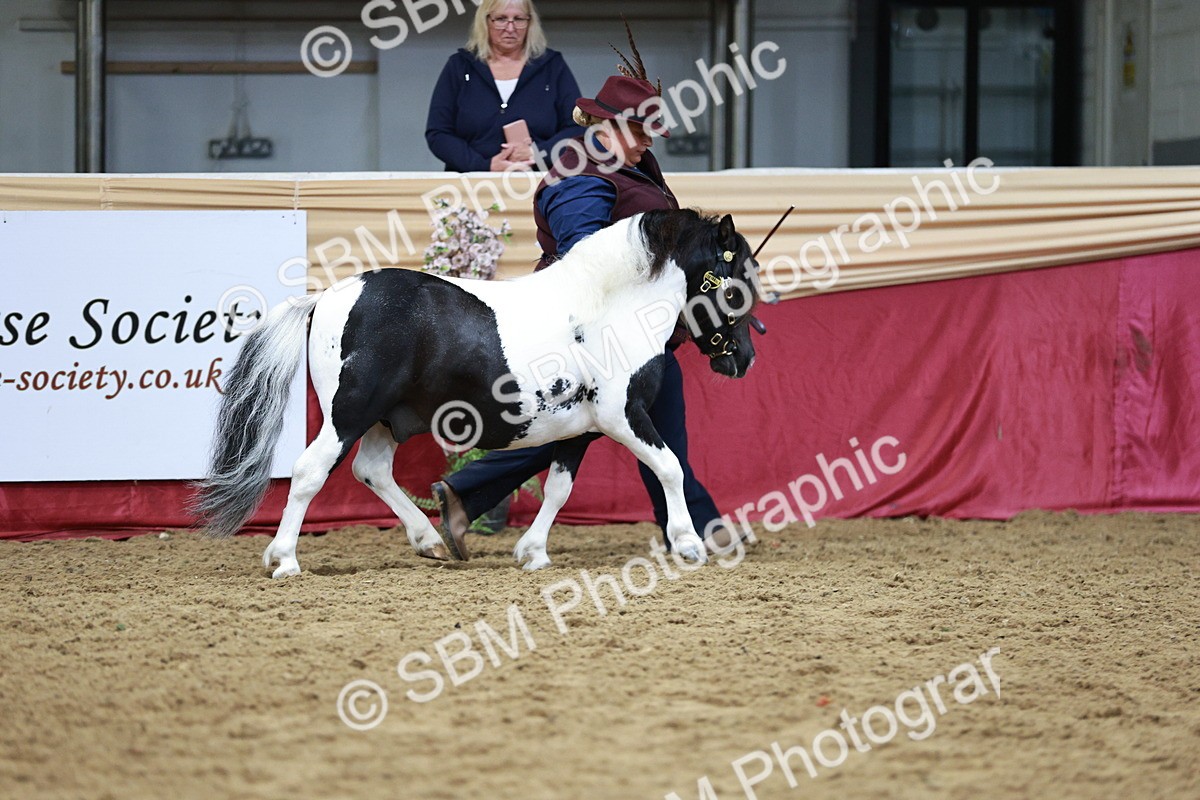 SBM_01179 - Class 3A - Area IH Pre-Vet