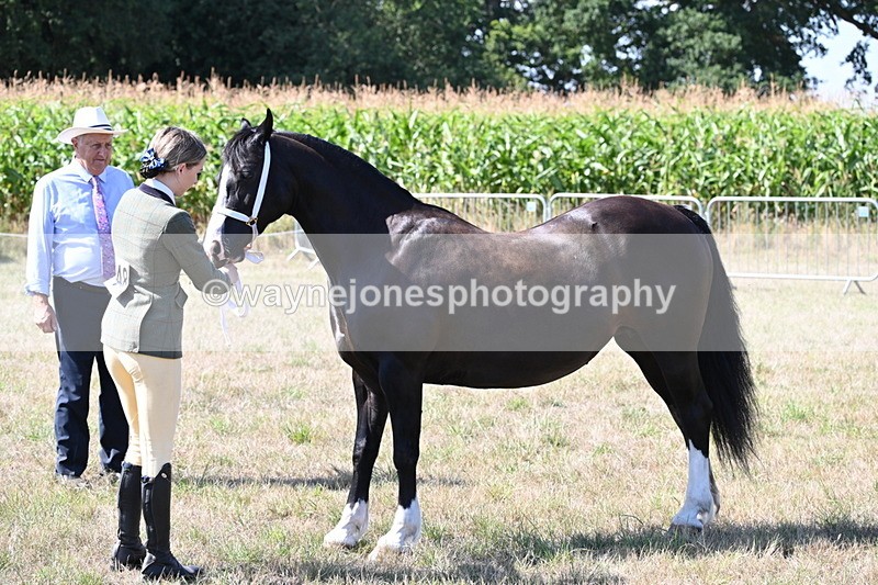 WJ6_4858 - Class 17 Mountain & Moorland