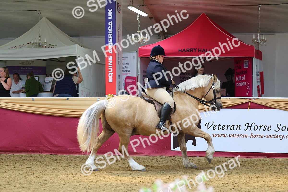 SBM_23909 - Class 905 - Supreme Final - Ridden Veteran