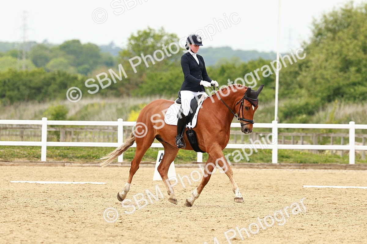 SBM_001716 - Class 7 - Novice 5