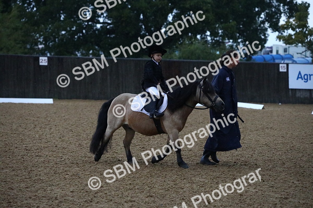 SBM_34588 - D26 - Starters Lead Rein