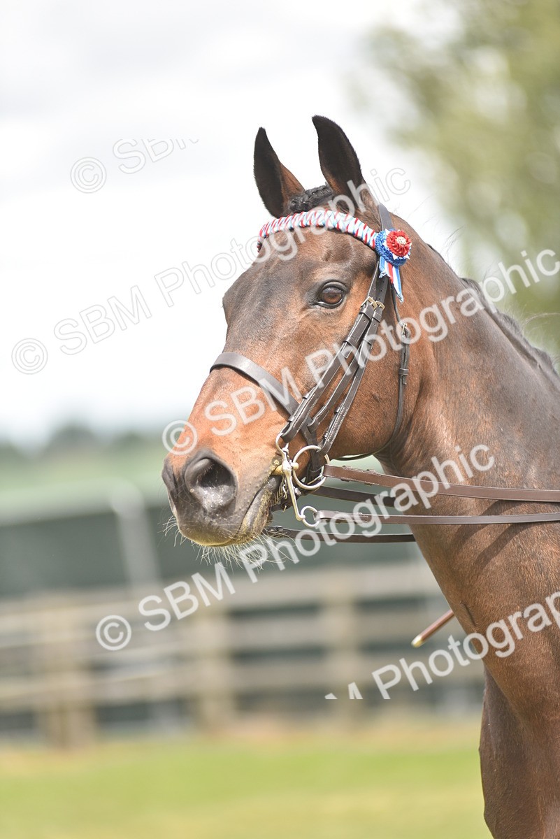 SBM_14287 - Class 113-114 - Retraining of Racehorses Ridden