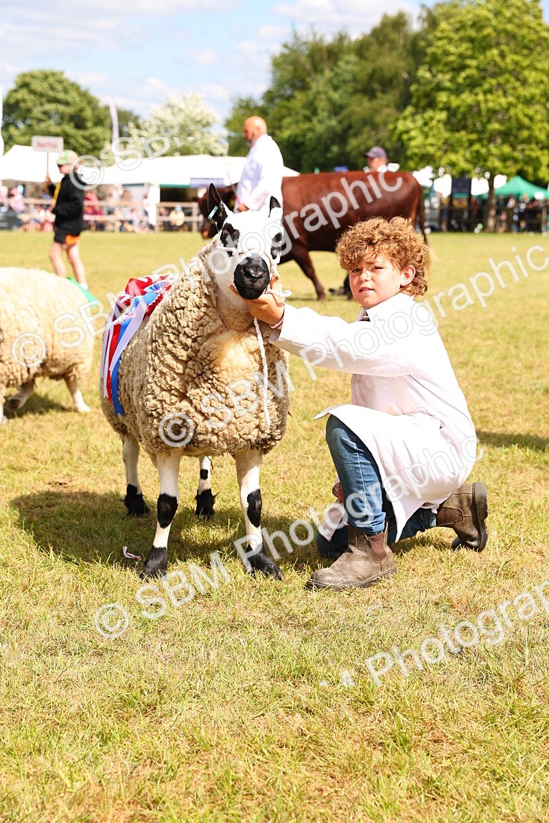 SBM_16974 - Grand Parade