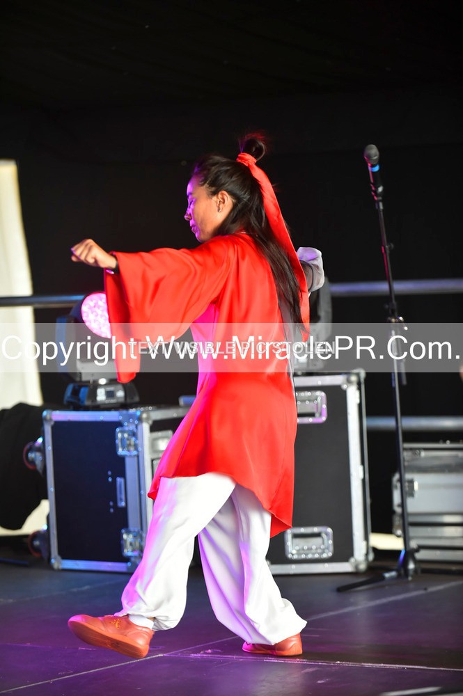SH4_1457 - Tai Chi with Lisa Kay.