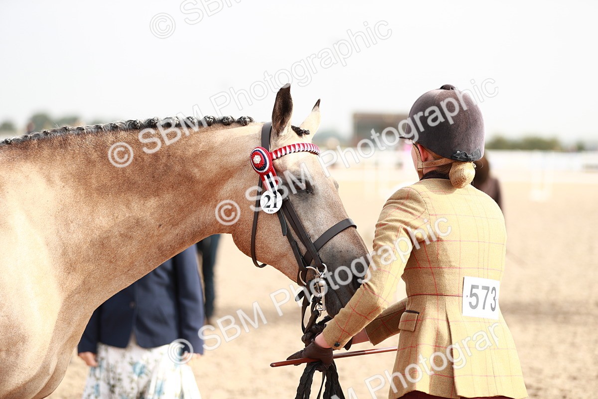 SBM_10528 - Class 204 Young Handler, 11-16 years