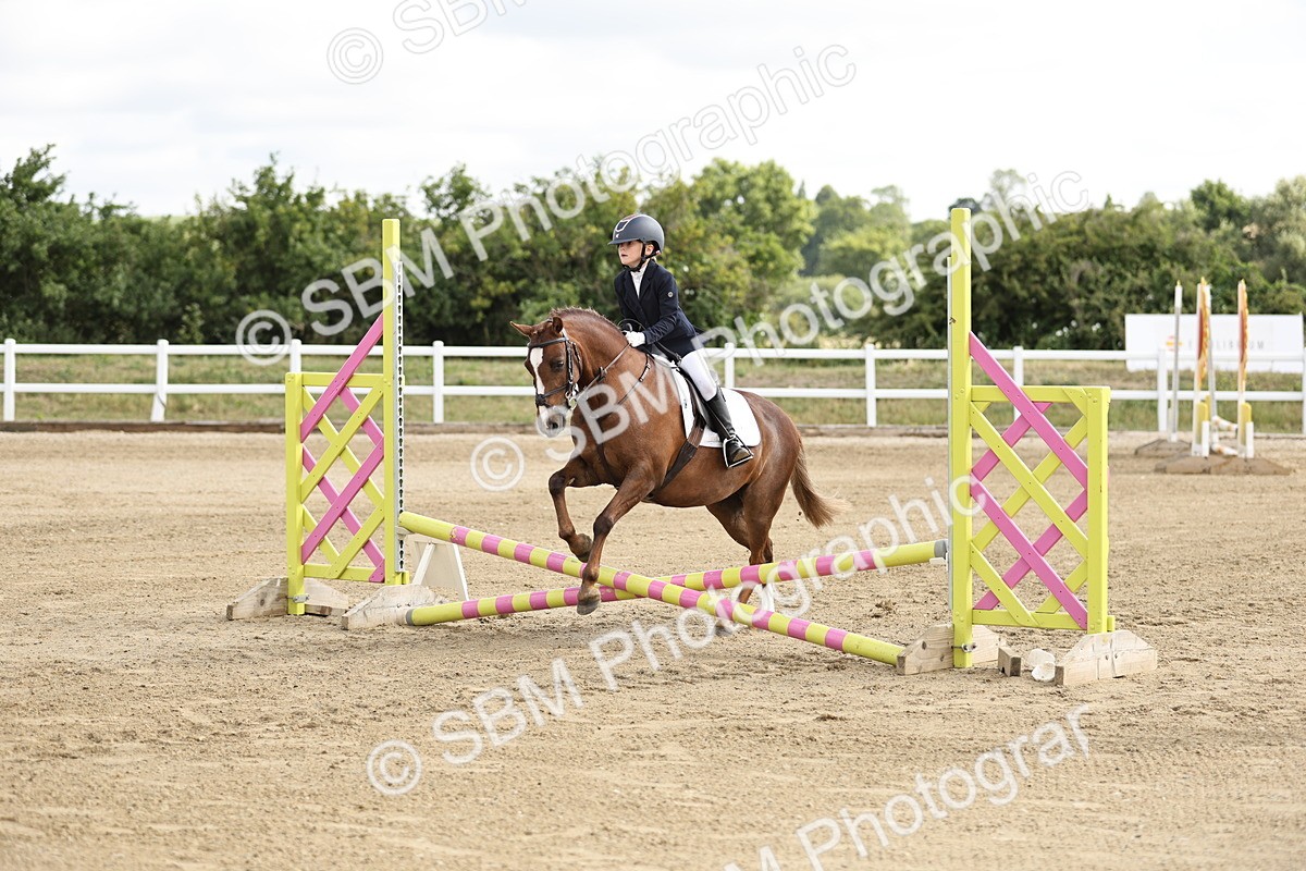 SBM_003273 - 40cm showjumping