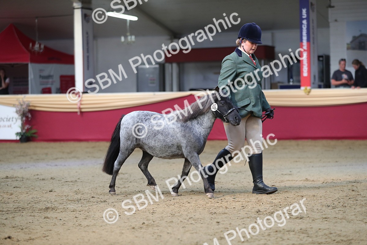 SBM_01347 - Class 3a Area IH Pre Vet