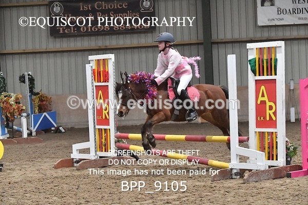 BPP_9105 - CLASS 3 50CM-70CM Pairs Show Jumping