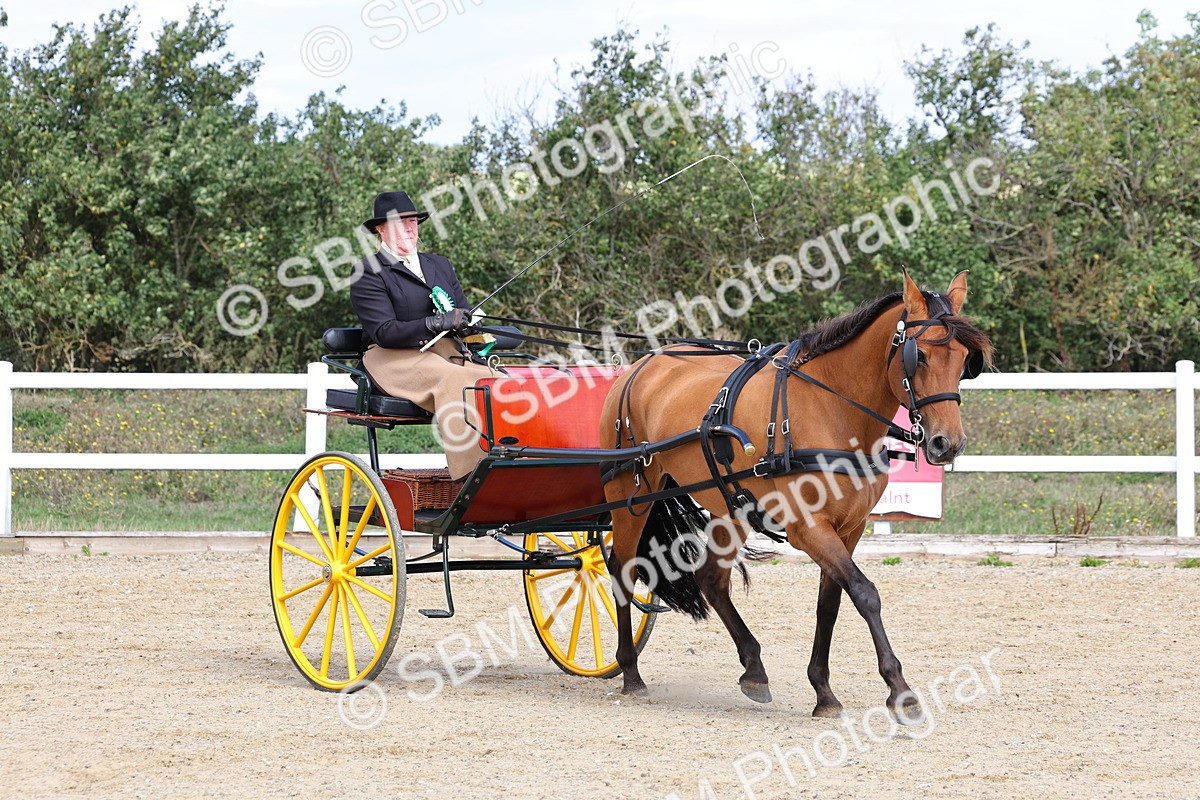 SBM_000958 - Class 8 - Novice Horse or Pony to any vehicle