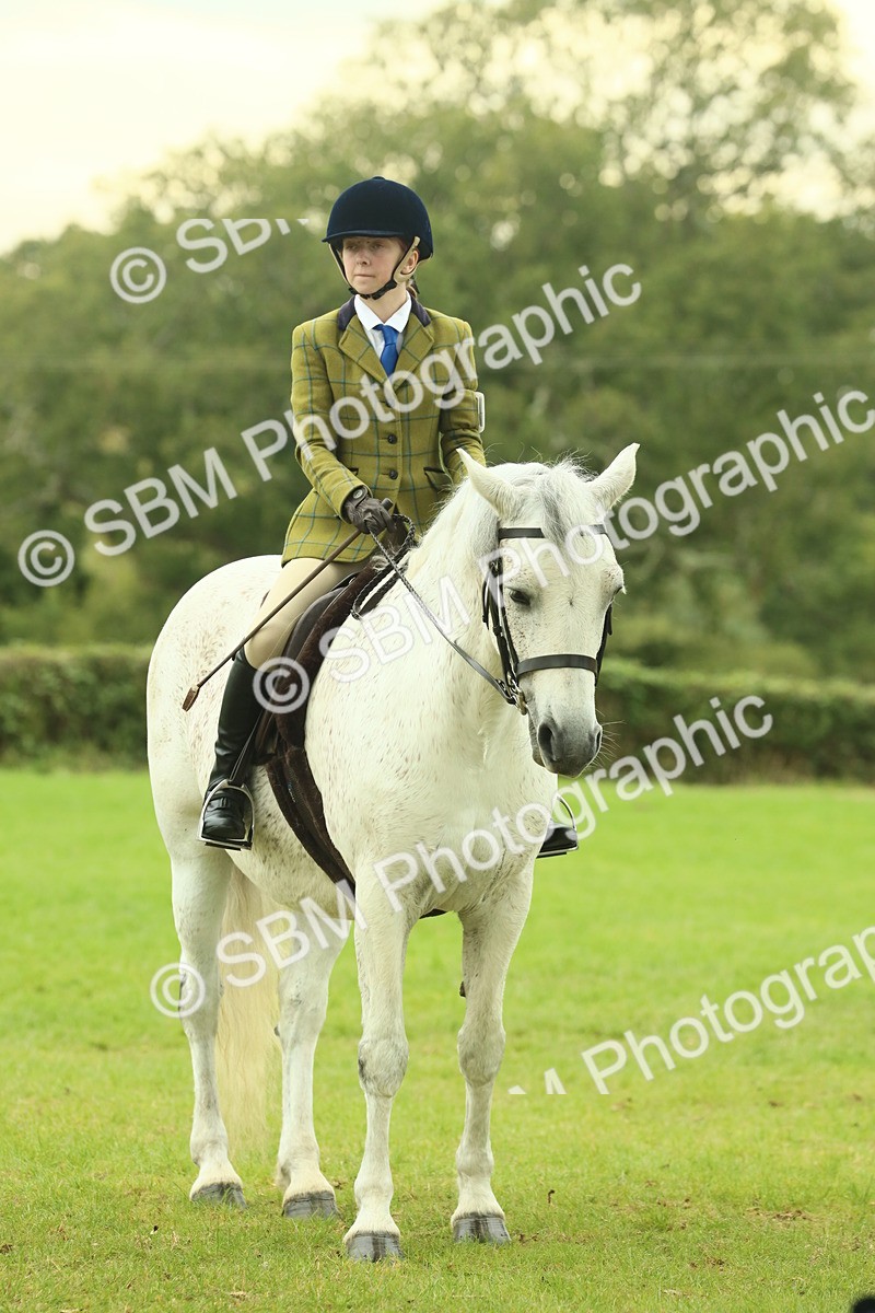SBM_72212 - S60 - Mountain & Moorland Ridden Large Breeds