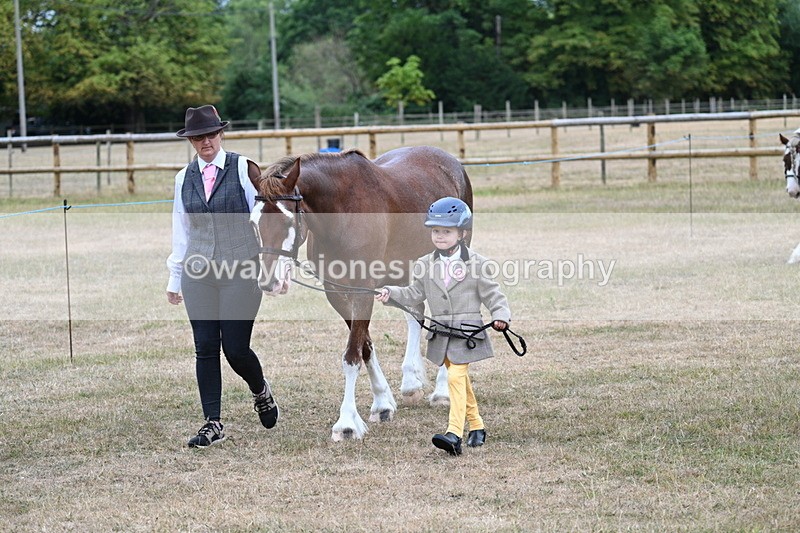 WJ7_8010 - Class 4 Prettiest Mare up to 14.2hh