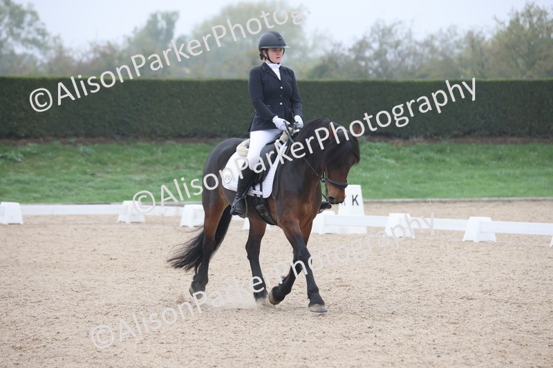 20251012-0423 - Class 3 - Novice 5