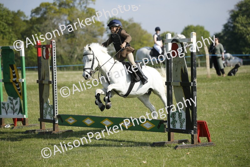 20250427-0346 - Class 12 - Rookie Jumping 40cm