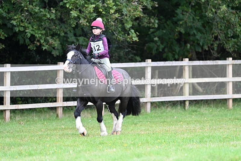 WJ7_7294 - 40cm Time 10:06 to 10:24