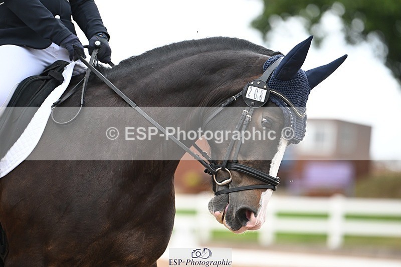 250705-175531-02956 - N3 Section BDNOV3 15.55 to 17.19