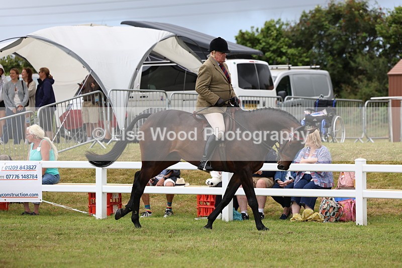 3E7A0925 - Class 8: Open Riding Horse/Hack