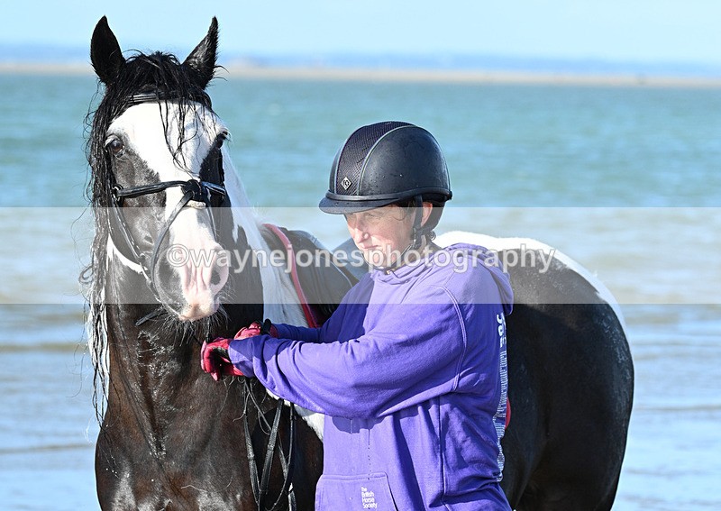 WJ7_3600 - Kellie & Churchill ... do Hayling Island 25-08-24