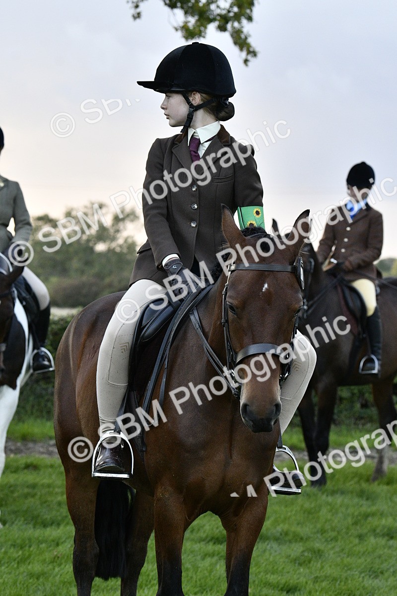 SBM_53605 - S14 - Riding Club Horse