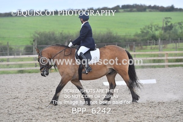 BPP_6242 - ELEMENTARY TEST 4 LONG ARENA